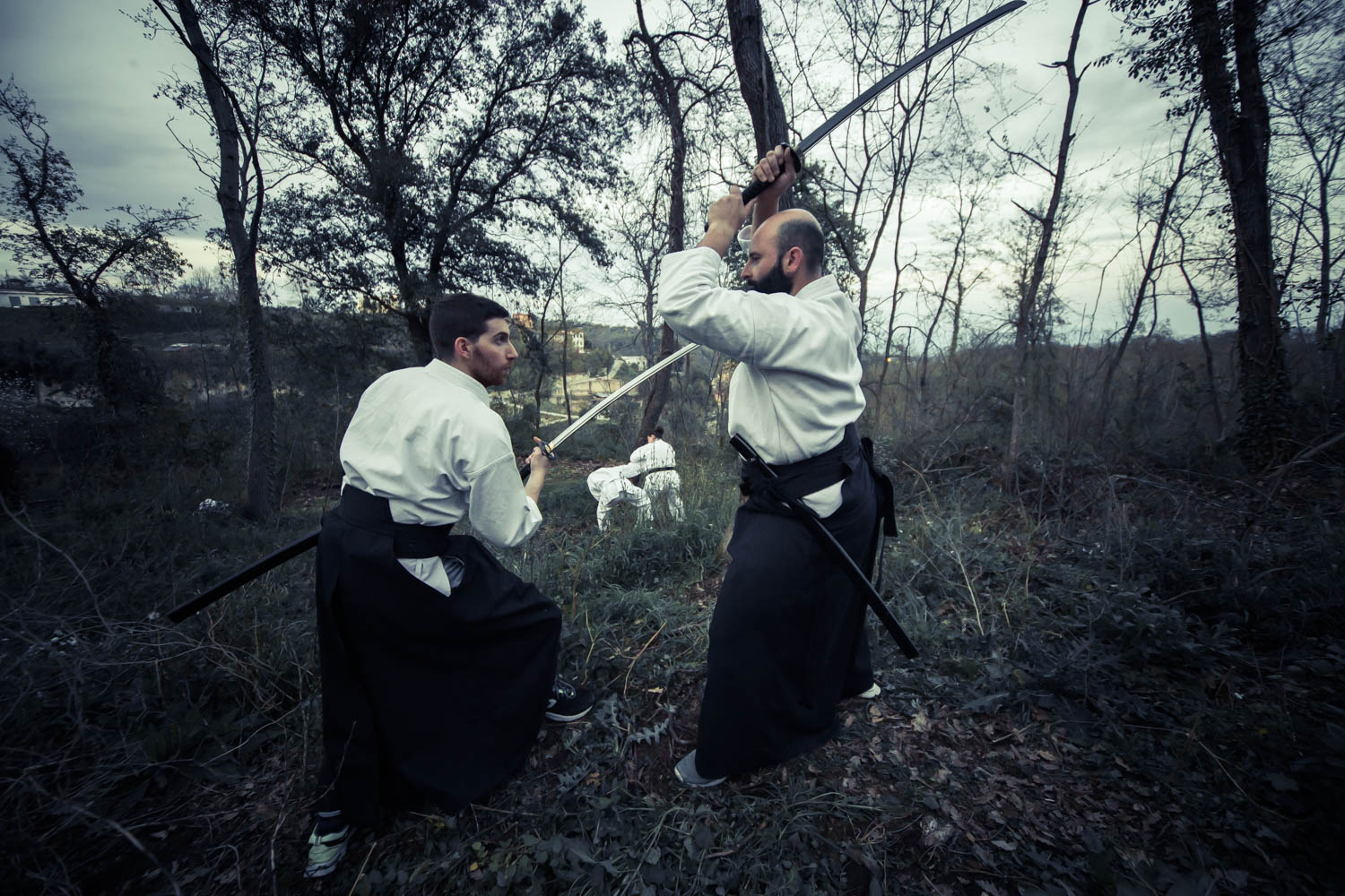 Performance della ASD Salice e Montagna - Yanagi to Yama Dōjō Riano